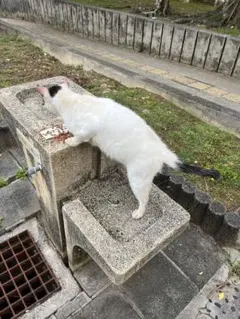 純様専用smart7月号Coleman 水に強い！2層式ショルダーバッグ