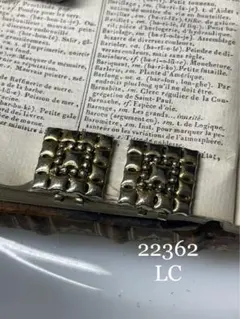 22362 LC ゴールドのイヤリング