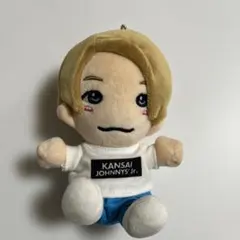 あ*み様 Aぇ！group 正門良規　ちびぬい