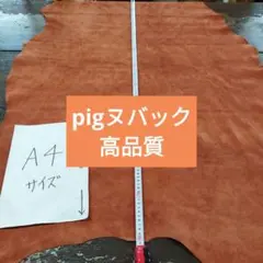 Item thumbnail for item c64d93a4-21d3-4c15-8f8c-f6b6240d0ced