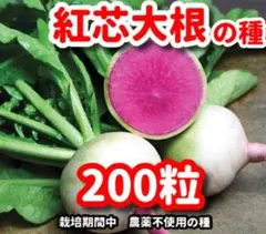 YAMIZO農園　itofamily55様 リクエスト 3点 まとめ商品