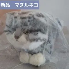 ANI•PAL マヌルネコ ぬいぐるみ リアル ぬいぐるみ本体 - メルカリ