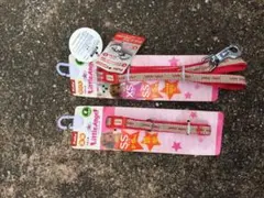 Item thumbnail for item a6bcd4c0-bba5-4e30-8dc9-08138208a6f0