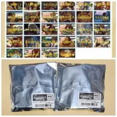 未開封　2個セット　サムライスピリッツ　令サム　ミニキャンバスパネル　SNK
