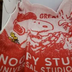 スヌーピー ハンドタオル ユニバーサルスタジオ 2枚セット