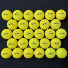 Item thumbnail for item 320a326e-0c6f-4c95-8eda-912d01e61c0b