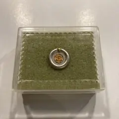 少林寺拳法 カンフー