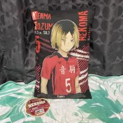 ハイキュー!! 音駒 クッション