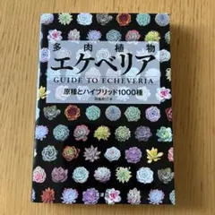 多肉植物 エケベリア 原種とハイブリッド1000種
