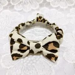 レオパードオフ　子猫のサムネイル