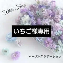 いちご様 リクエスト 3点 まとめ商品