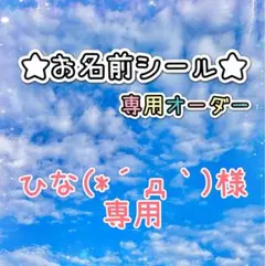 ＊＊＊ひな(*´д｀)様専用＊＊＊
