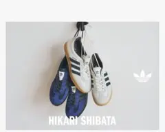 TOKYO ENERGY GAZELLE INDOOR 柴田ひかりのサムネイル