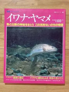 別冊フィッシング イワナ・ヤマメのサムネイル