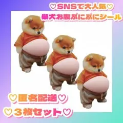 ♡大人気♡　新品未使用　おなか ぷにぷに シール 柴犬 ステッカー 　３枚セット