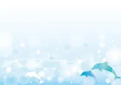 専用