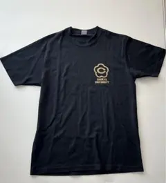 Item thumbnail for item 10c68068-7187-4055-a247-dc25d275da63