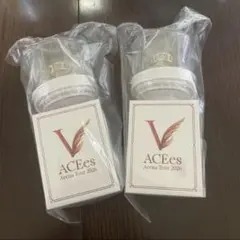 2本❄︎ ペンライト ACEes Arena Tour 2026 V - メルカリ
