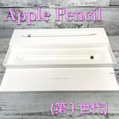 【ジャンク】【美品】Apple Pencil (第1世代)