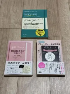 Item thumbnail for item ea80967e-fae2-4467-b982-8049d3cdec58