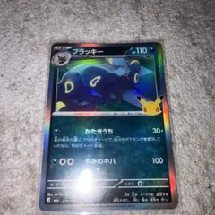中国限定 ポケモンカード ブイズ新作シリーズブラッキーのカードアルバム 中国限定 ポケモンカード ブイズ新作シリーズブラッキーのカード
