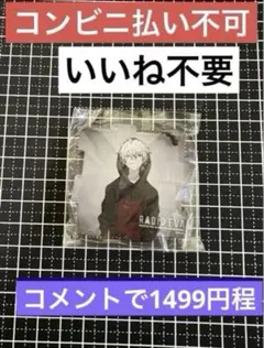 渚カヲル　RADIO EVA アクリルパズルキーホルダー　エヴァンゲリオン