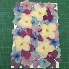 T Ｙo様 リクエスト 2点 まとめ商品