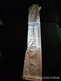 Item thumbnail for item 8b8b3470-544d-43b2-9398-acc633a278ec