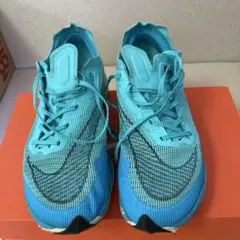 2026年最新】ヴェイパーフライ2 25.5の人気アイテム - メルカリ