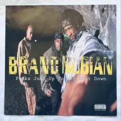 BRAND NUBIAN / PUNKS JUMP UP TO GET BEAT