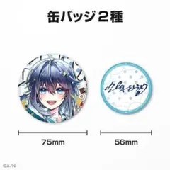 空星きらめ にじさんじ 誕生日 2023 缶バッジ グッズ セット