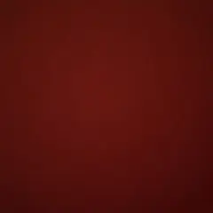 専用