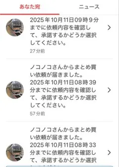 ちこ様リクエスト商品 予約商品 【予約商品】Z/X -Zillions of enemy X- 【IG07】ちび