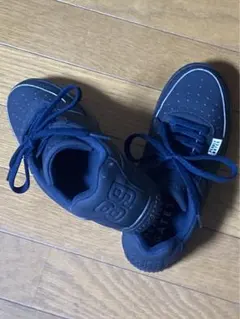 Item thumbnail for item 342996b4-048d-4653-a2ee-3b41ef73a597