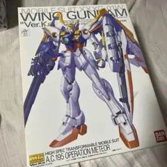 MG 1/100 ウイングガンダム Ver.Kaのサムネイル