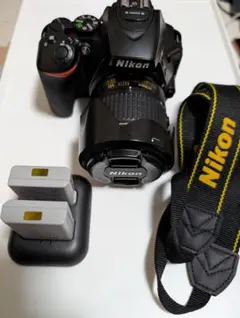 美品・ショット数2191回】ニコン NIKON D5600 ダブルレンズ - メルカリ