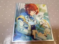 2025年最新】三毛縞斑の人気アイテム - メルカリ