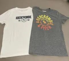 ABERCROMBIE & FITCH Tシャツ 2枚セット 13/14 160