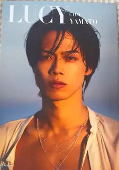 Item thumbnail for item 6a20dcc5-061e-490c-b1b4-24c48406cd5e