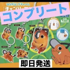 コンプ★チェンソーマン★ポチタ★つながリングチャーム★劇場版★ガチャキーホルダー