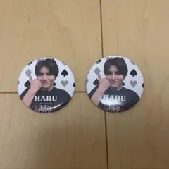 超特急 柏木悠 ハル Joker ランダム缶バッジ 2点セット