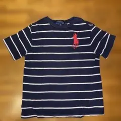 Polo Ralph Lauren ストライプ Tシャツ Sサイズ