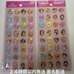 Disney ディズニー　プリンセス ストーリーシール 2セット