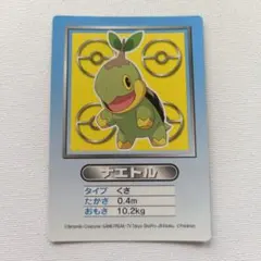 ポケモン アニメ版トップサン ダイヤモンド＆パール 「ミノマダム あな
