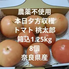 農薬不使用　トマト　桃太郎　箱込1.25kg 8個　新鮮　野菜　産地直送 奈良県のサムネイル