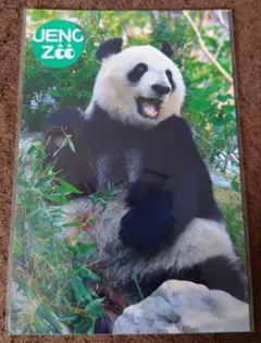 Item thumbnail for item 30fd029c-bfc2-4978-972d-ae1d83ae28e7