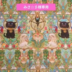 みさ☆彡様専用ページ