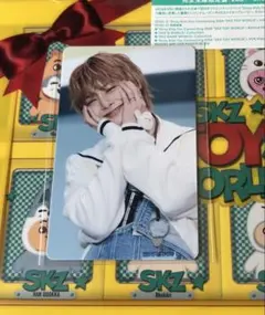 straykids アイエン トイワールド HMV 特典 トレカ