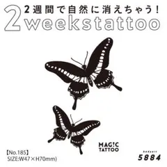 Item thumbnail for item e6b27f87-c953-42d9-bd78-29c97a013e42