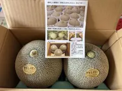 ラスト1箱！送料込み！千葉県産 アムスメロン 大玉2玉 贈答用 - メルカリ